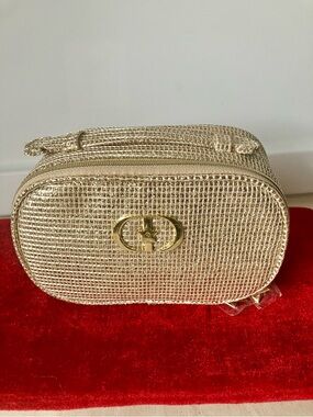 Christian Dior CD Gold Glitter Makeup Pouch Bag Case Limited Edition Christmas